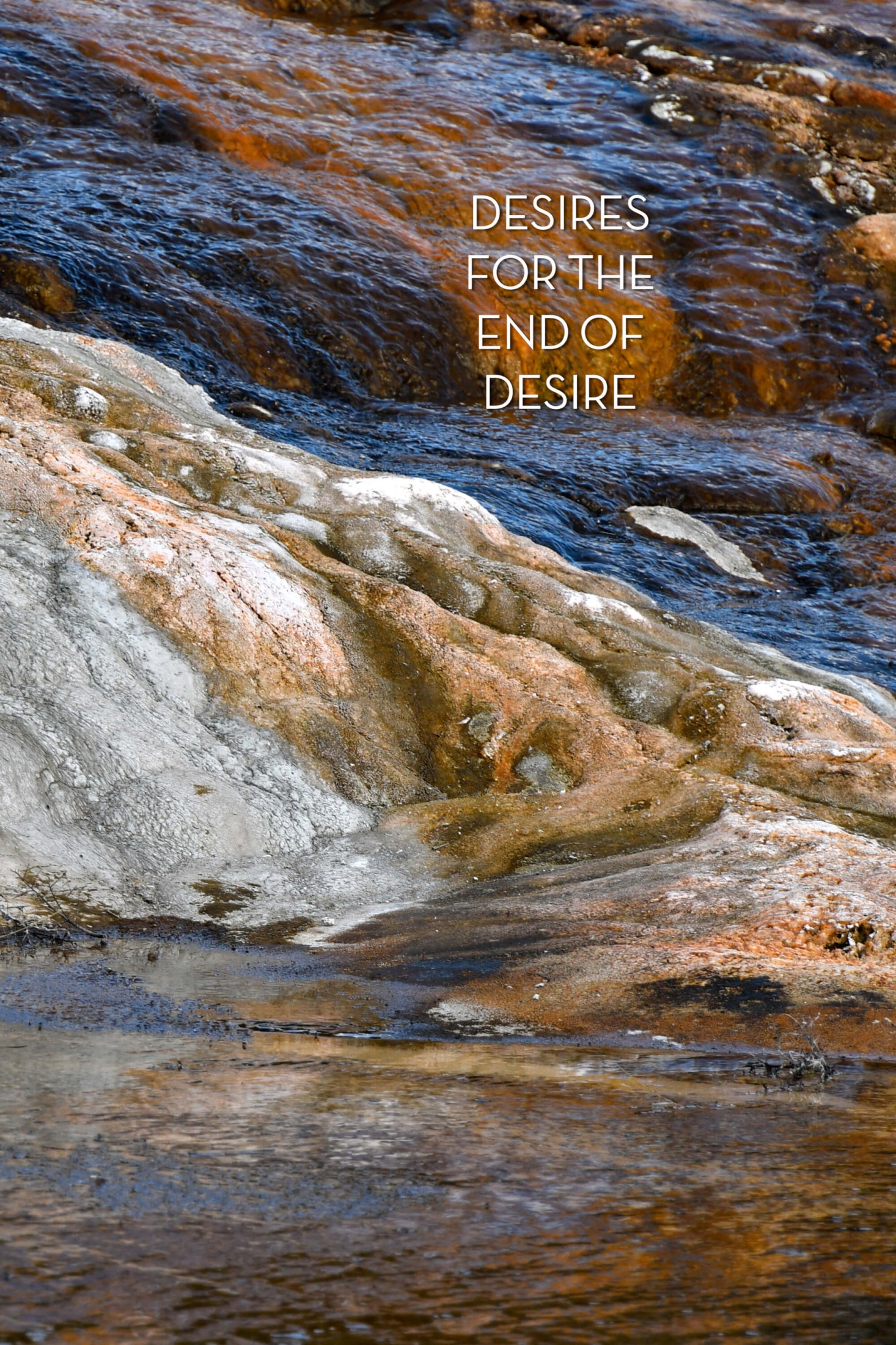 Book cover of Desires for the End of Desire