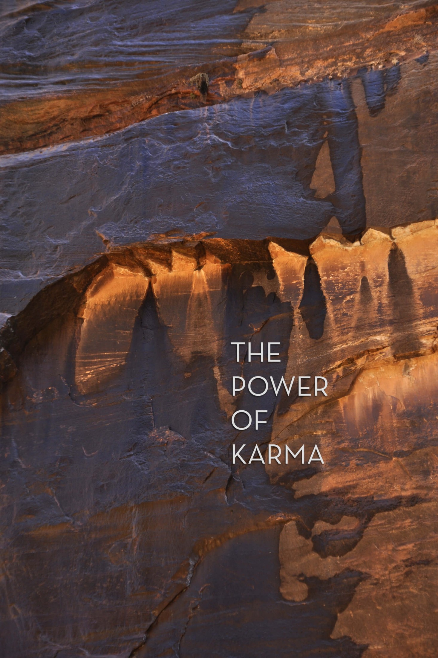 Book cover of The Power of Karma