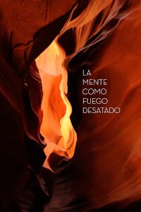 foto de la portada de Las La mente como fuego desatado