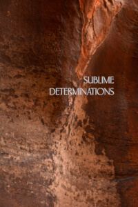 Sublime Determinations thumbnail