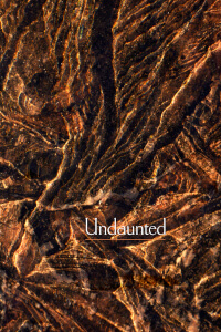 Undaunted thumbnail