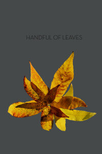 Handful of Leaves thumbnail