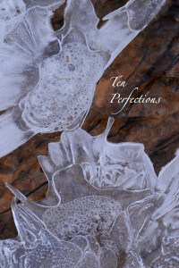 Ten Perfections thumbnail