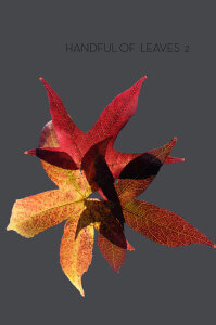 'Majjhima Nikāya' thumbnail